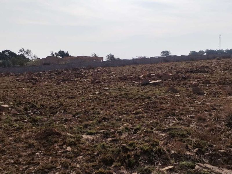 Invest in a promising smallholding at Walkerville Manor - Photo 5