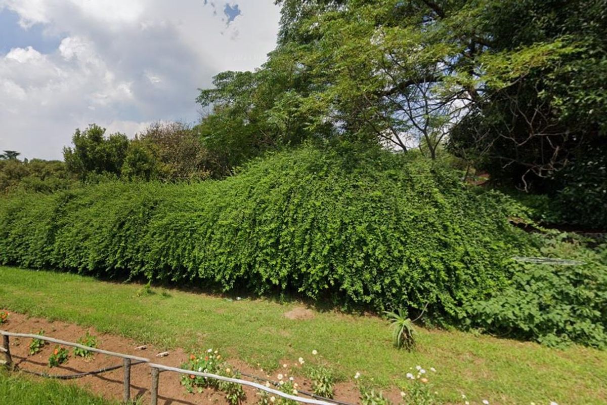 Prime Investment Opportunity in Linbro Park! - Photo 3