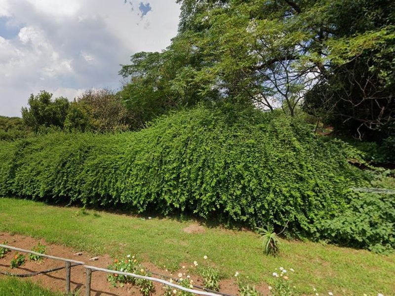 Prime Investment Opportunity in Linbro Park! - Photo 3