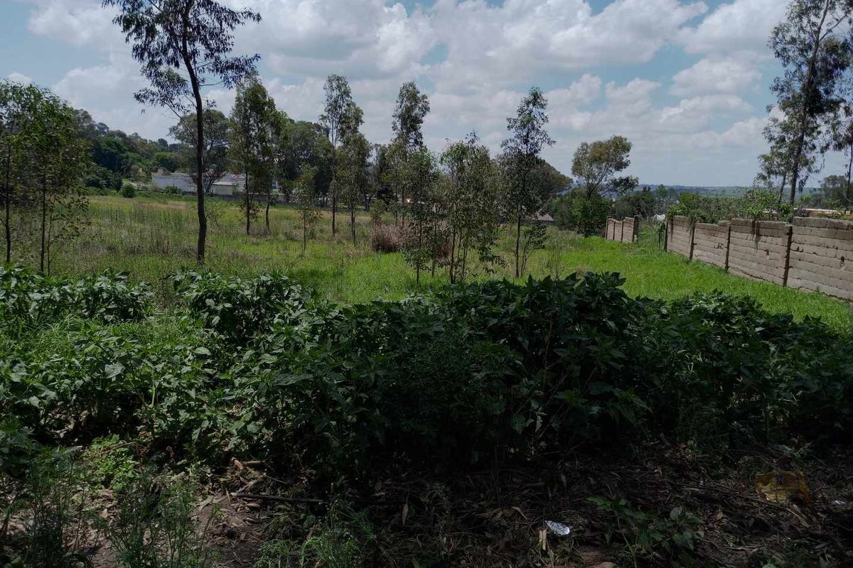 1.7643 ha - 17,643 m2 stand available in Linbro Park - Photo 2