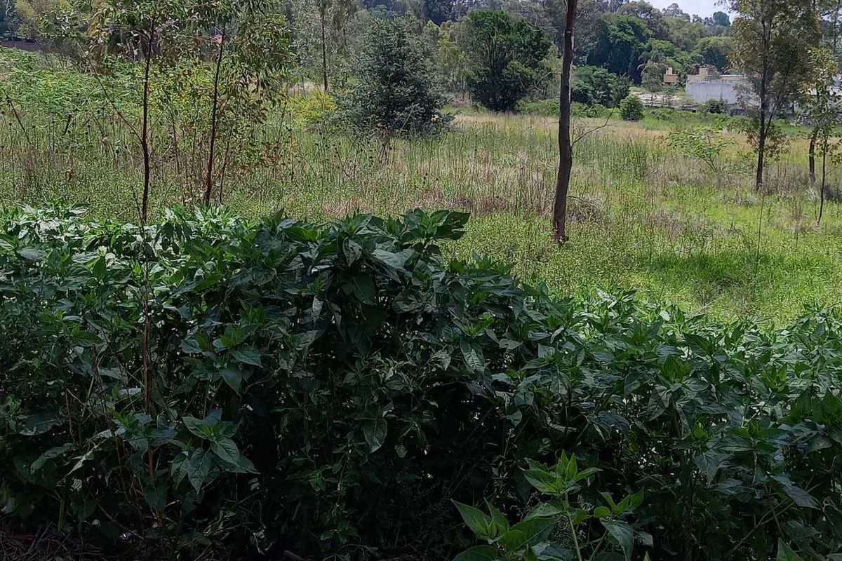 1.7643 ha - 17,643 m2 stand available in Linbro Park - Photo 4