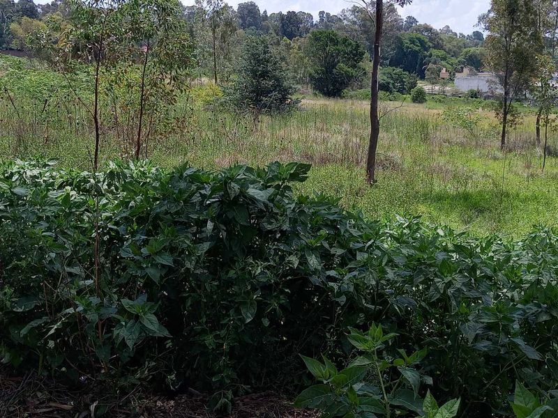 1.7643 ha - 17,643 m2 stand available in Linbro Park - Photo 4