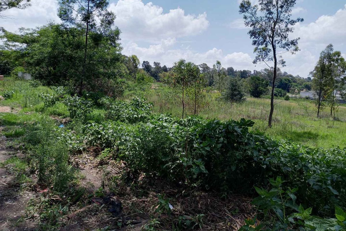 1.7643 ha - 17,643 m2 stand available in Linbro Park - Photo 5