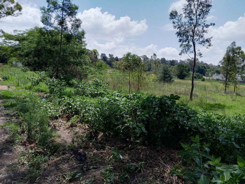 1.7643 ha - 17,643 m2 stand available in Linbro Park - Photo 5