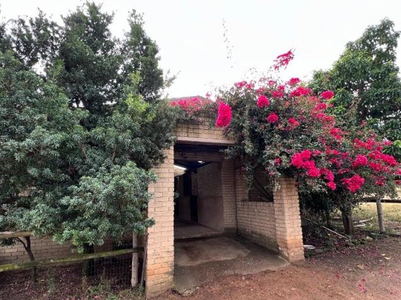 A family country homestead - Photo 6