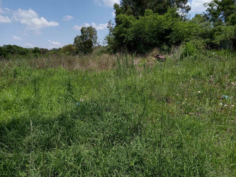 The 1.9701 ha  or 19.701 Sqm(m2) Stand is not yet re-zoned - It faces a major housing development - Photo 7