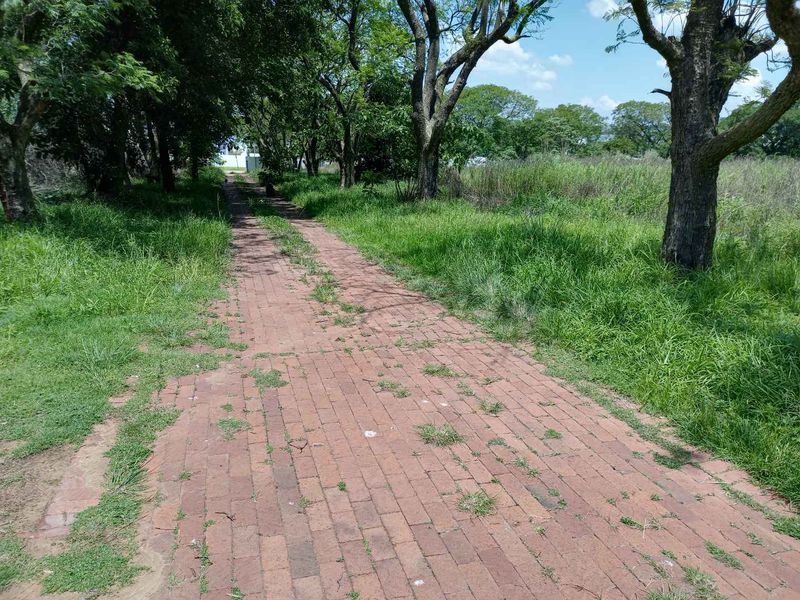 The 1.9701 ha  or 19.701 Sqm(m2) Stand is not yet re-zoned - It faces a major housing development - Photo 4