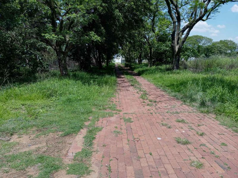 The 1.9701 ha  or 19.701 Sqm(m2) Stand is not yet re-zoned - It faces a major housing development - Photo 5