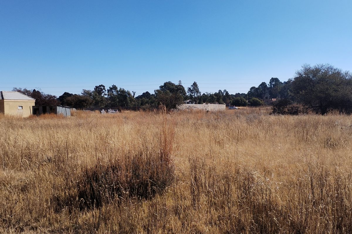 A wide-angle view of a vacant residential plot featuring dry grass, mature trees, and existing small outbuildings in the distance.