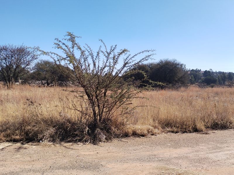 Farm Style Living - Spacious prime spot, perfect for your dream home or business venture - Photo 7