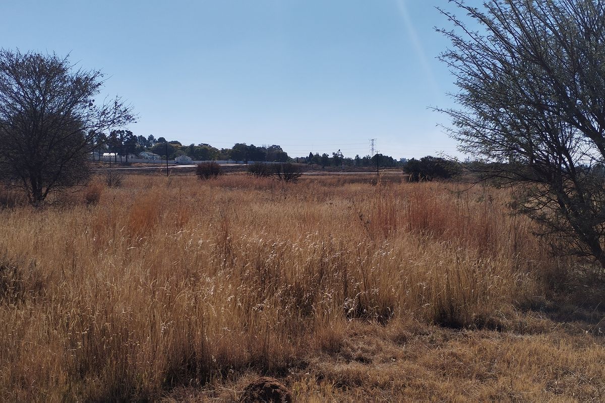 Farm Style Living - Spacious prime spot, perfect for your dream home or business venture - Photo 5