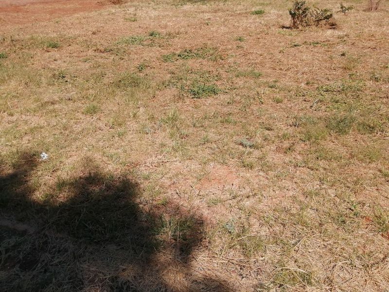 Vacant land for sale - Photo 9