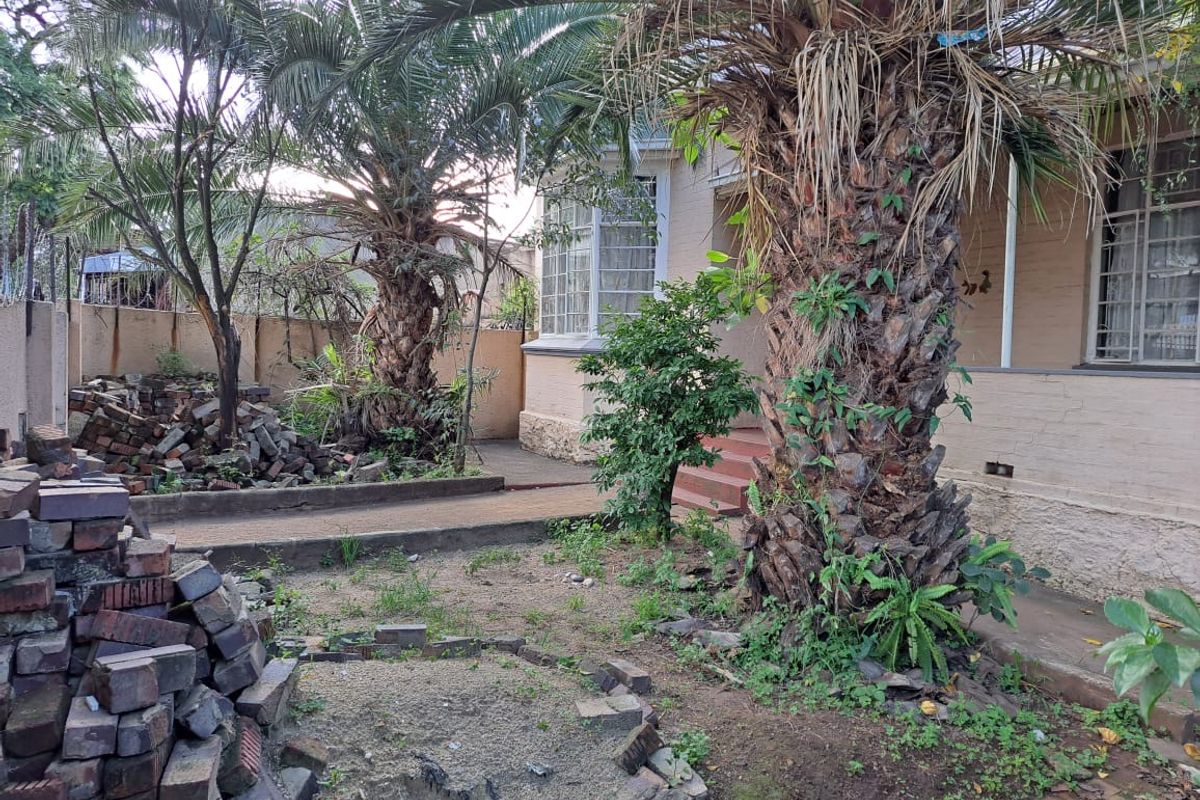 Rear garden area featuring mature palm trees, paved pathways, and access to the house exterior with brick masonry walls.