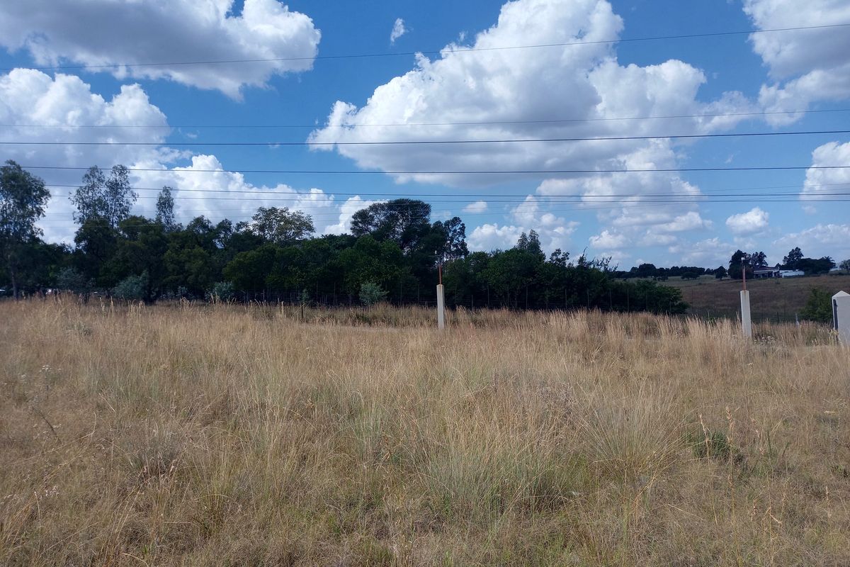 COUNTRY LIFE CALLS - Photo 2