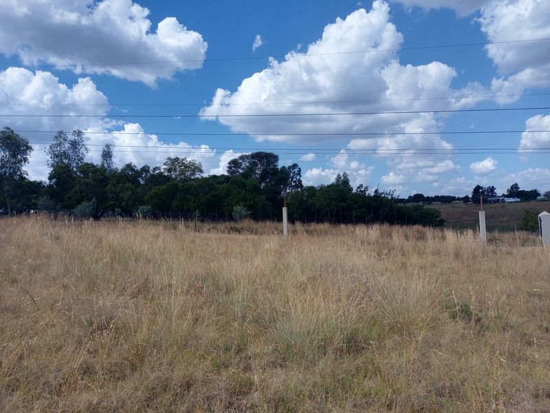 COUNTRY LIFE CALLS - Photo 2