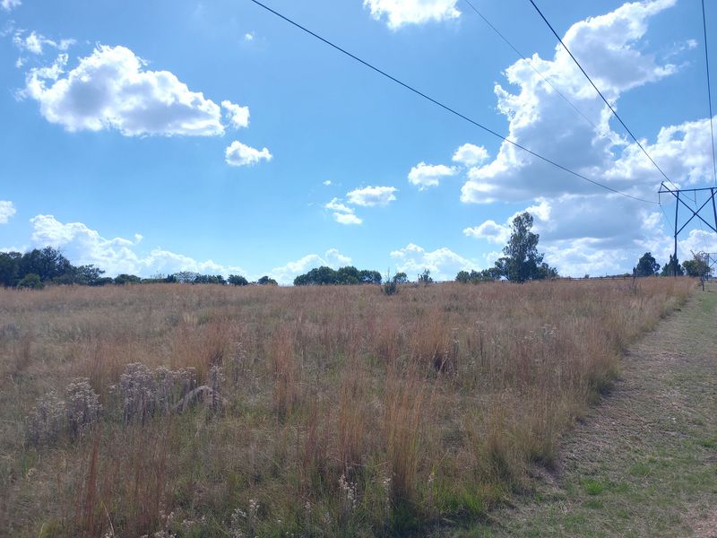 COUNTRY LIFE CALLS - Photo 3