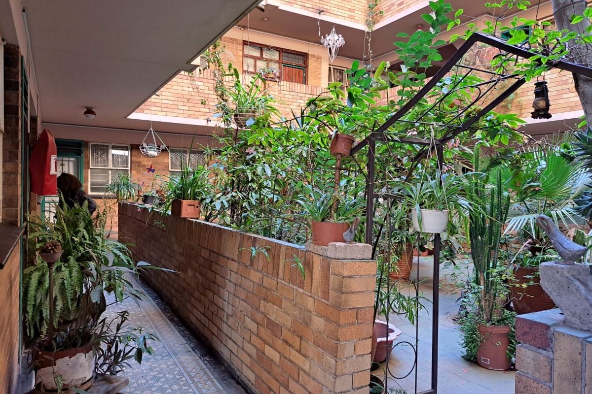 A view of an apartment complex courtyard featuring a brick boundary wall, paved walkway, and established garden elements within the building structure.