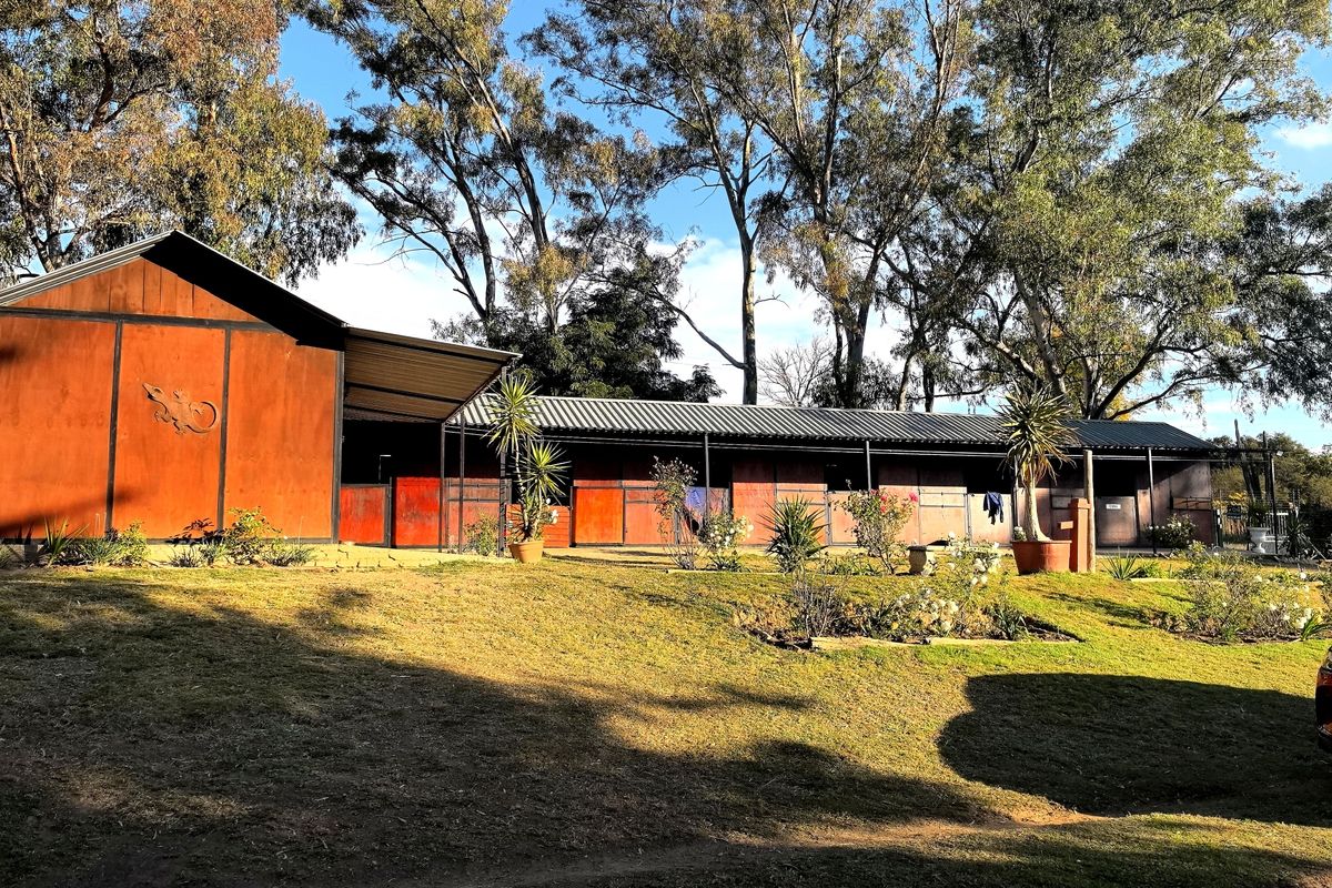 Stunning 4-bedroom equestrian property in Laezonia, Centurion, perfect for horse lovers and families - Photo 3