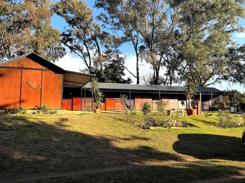 Stunning 4-bedroom equestrian property in Laezonia, Centurion, perfect for horse lovers and families - Photo 3