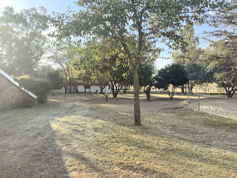 Stunning 4-bedroom equestrian property in Laezonia, Centurion, perfect for horse lovers and families - Photo 10