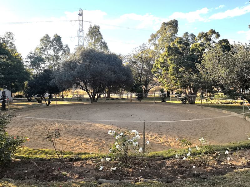 Stunning 4-bedroom equestrian property in Laezonia, Centurion, perfect for horse lovers and families - Photo 8