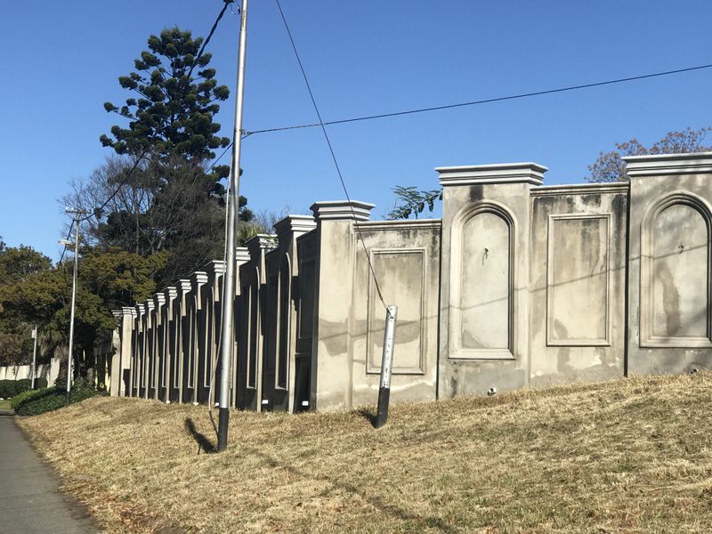 MAGNIFICENT LAND BEAUTIFULLY LOCATED IN THE DEVONSHIRE ENCLOSURE - BRYANSTON - Photo 5