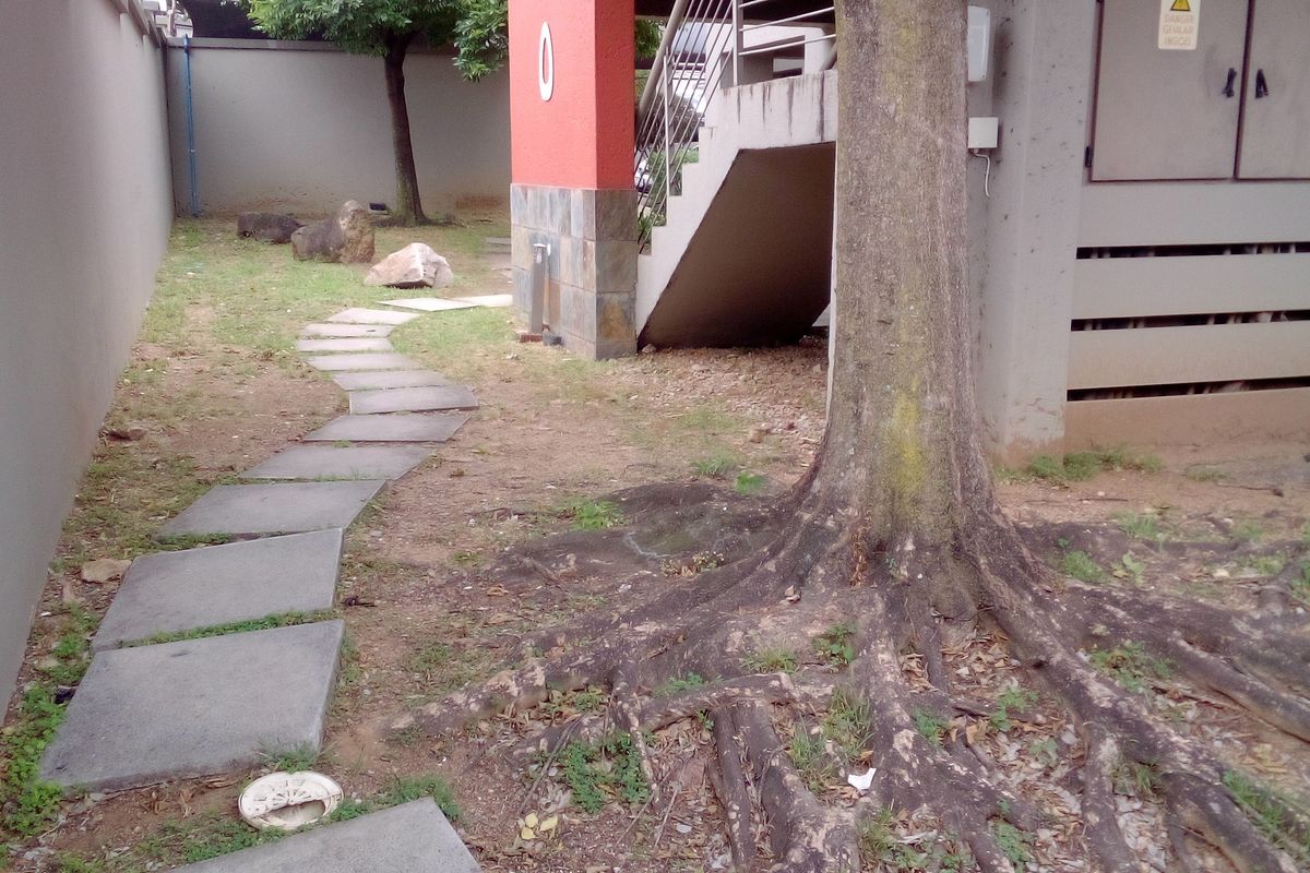 Ground floor tenanted unit for Sale - Photo 3