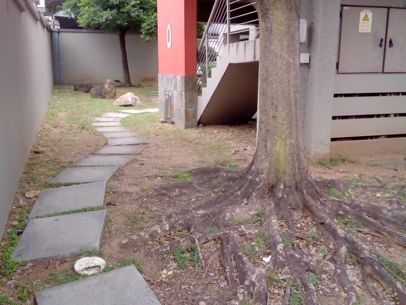 Ground floor tenanted unit for Sale - Photo 3