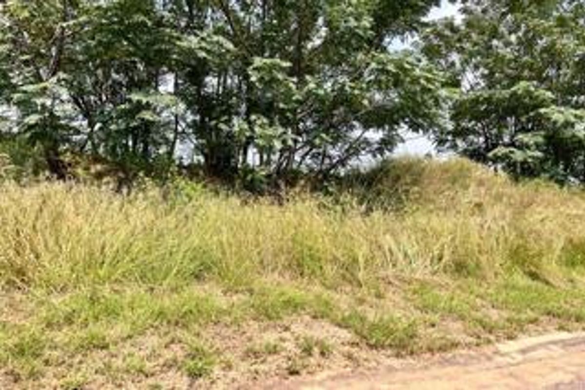 Prime Corner Stand in Prestigious Everglades Estate – Your Dream Awaits! - Photo 3