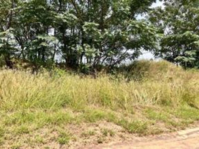 Prime Corner Stand in Prestigious Everglades Estate – Your Dream Awaits! - Photo 3