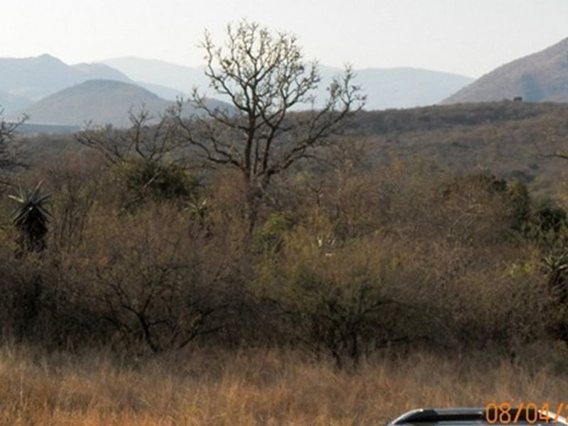 Discover your dream retreat: 1087m2 vacant land for sale in Greenstone Wildlife Estate, Barberton! - Photo 6