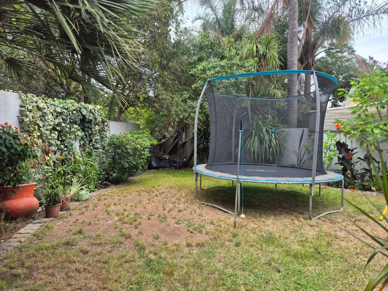 Prime Investment in Buccleuch – Large Garden & Great Security - Photo 6