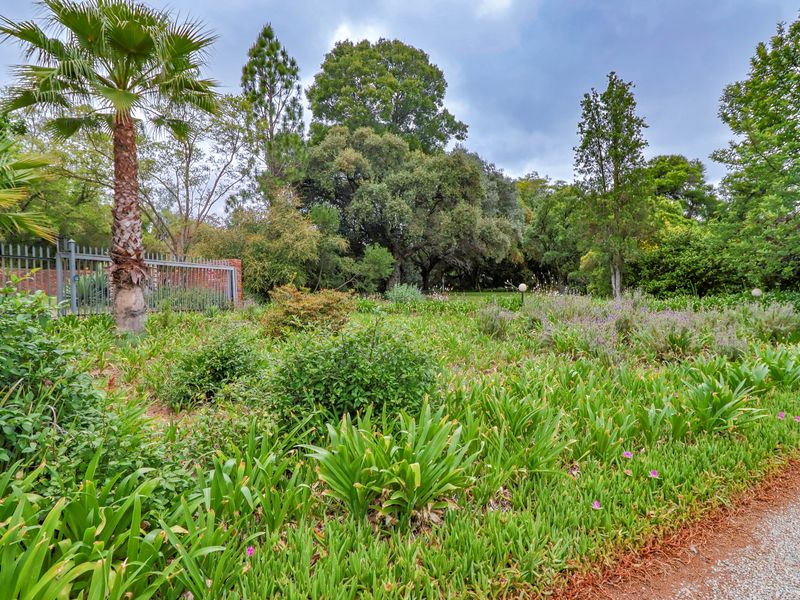 Charming 6-bedroom spacious property in Glen Austin AH, Midrand - Photo 8