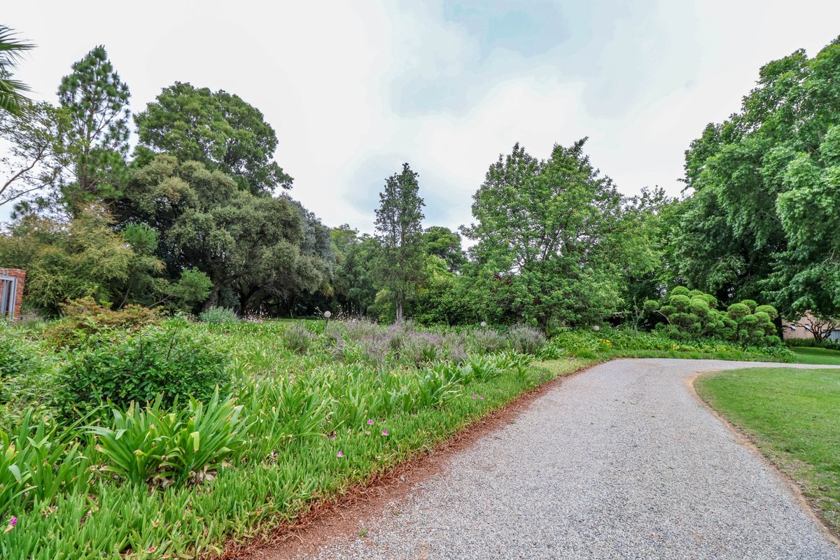 Charming 6-bedroom spacious property in Glen Austin AH, Midrand - Photo 4