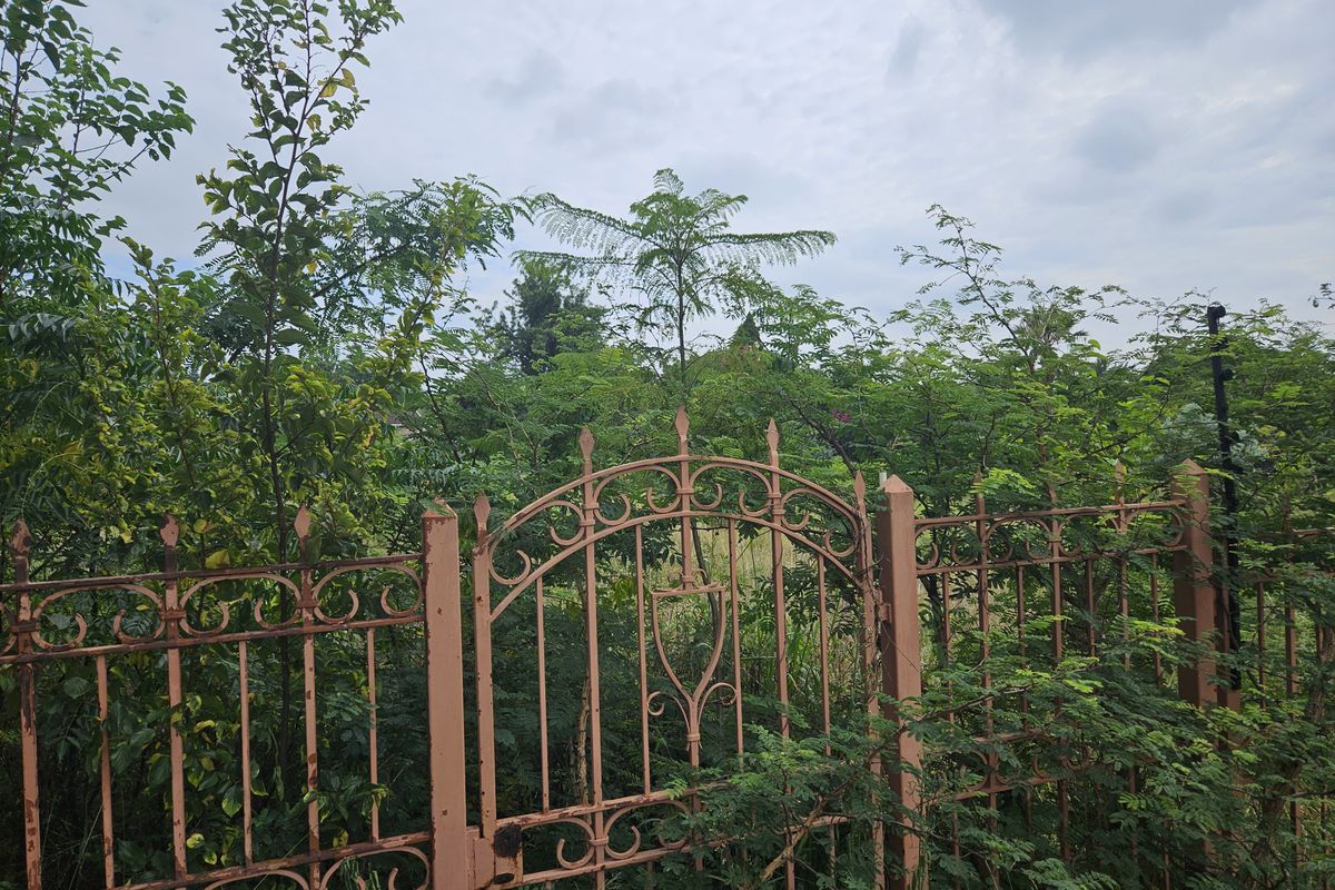 vacant Land - Rivonia - Photo 4