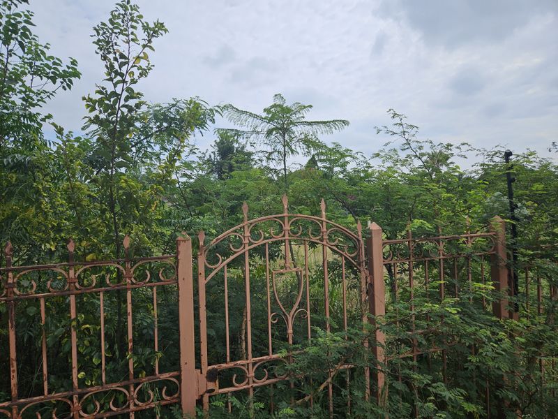 vacant Land - Rivonia - Photo 4