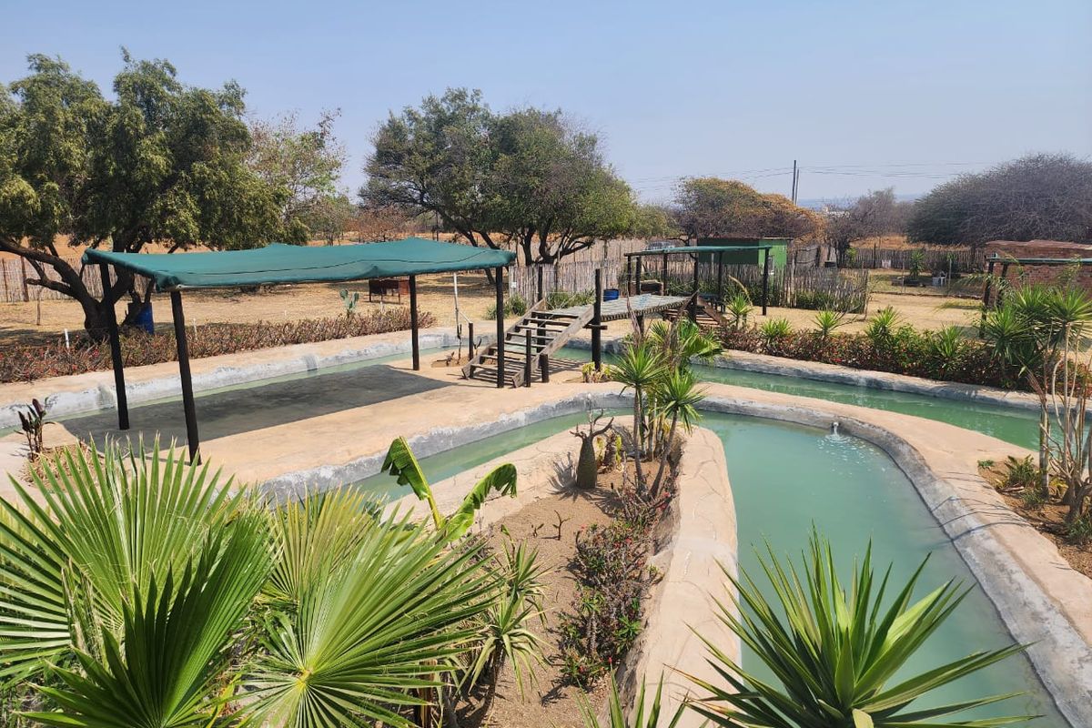 Water Park • Accommodation • Restaurant – All in One Destination - Photo 3