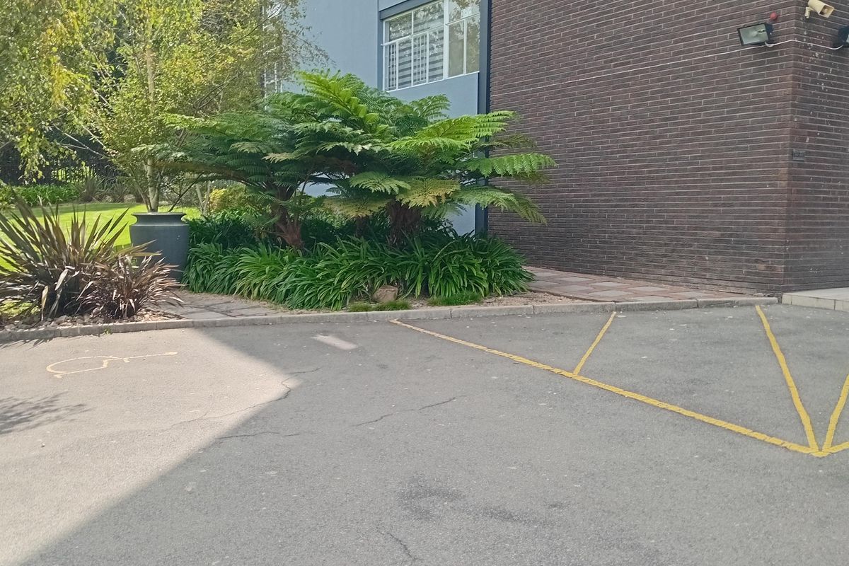 Spacious 1 bedroom 1.5  bathroom apartment. - Photo 3