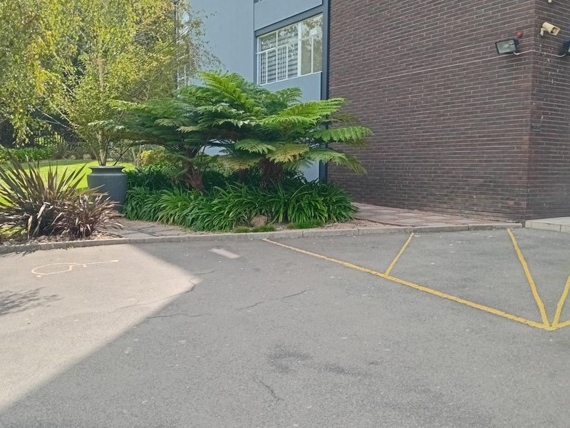 Spacious 1 bedroom 1.5  bathroom apartment. - Photo 3