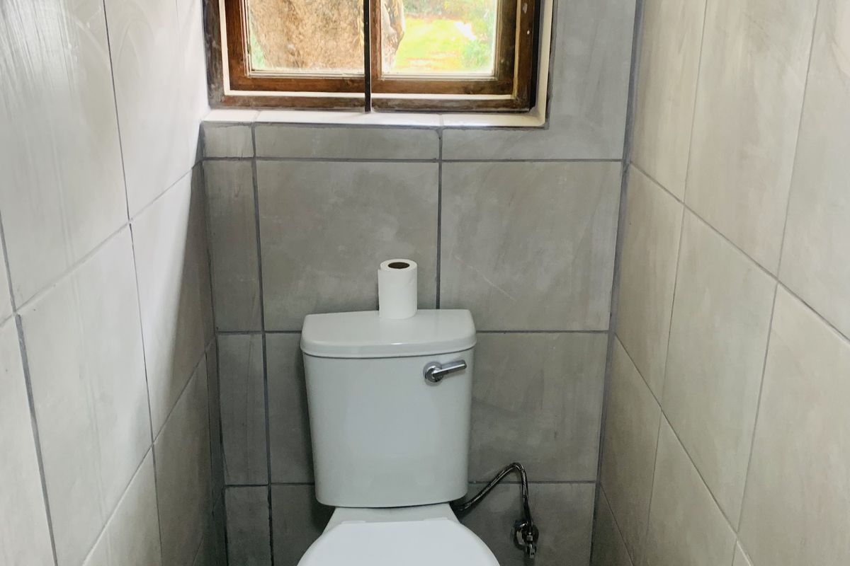 Beautiful totally renovated 1 bedroom cottage in Kensington. - Photo 4