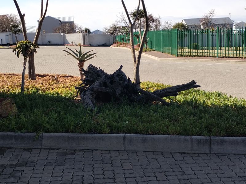 Spacious 2-bedroom apartment to let in Blue Hills, Midrand – modern living in a prime location! - Photo 7