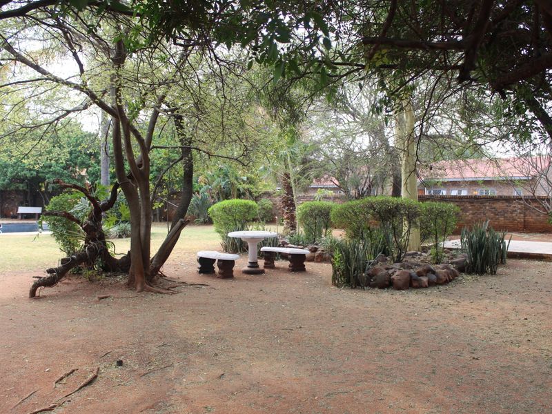 A Family Haven in Mooinooi - Photo 6