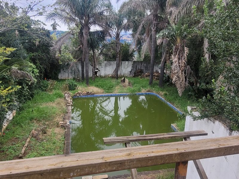 Renovation Opportunity with Beautiful City Views in Randview - Photo 9