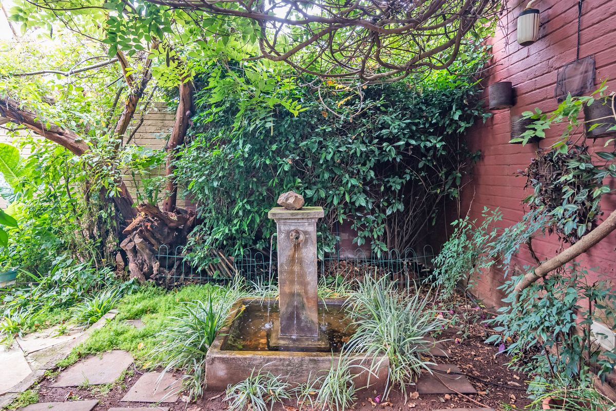 SANCTUARY IN THE CITY - Photo 2