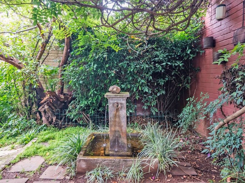 SANCTUARY IN THE CITY - Photo 2