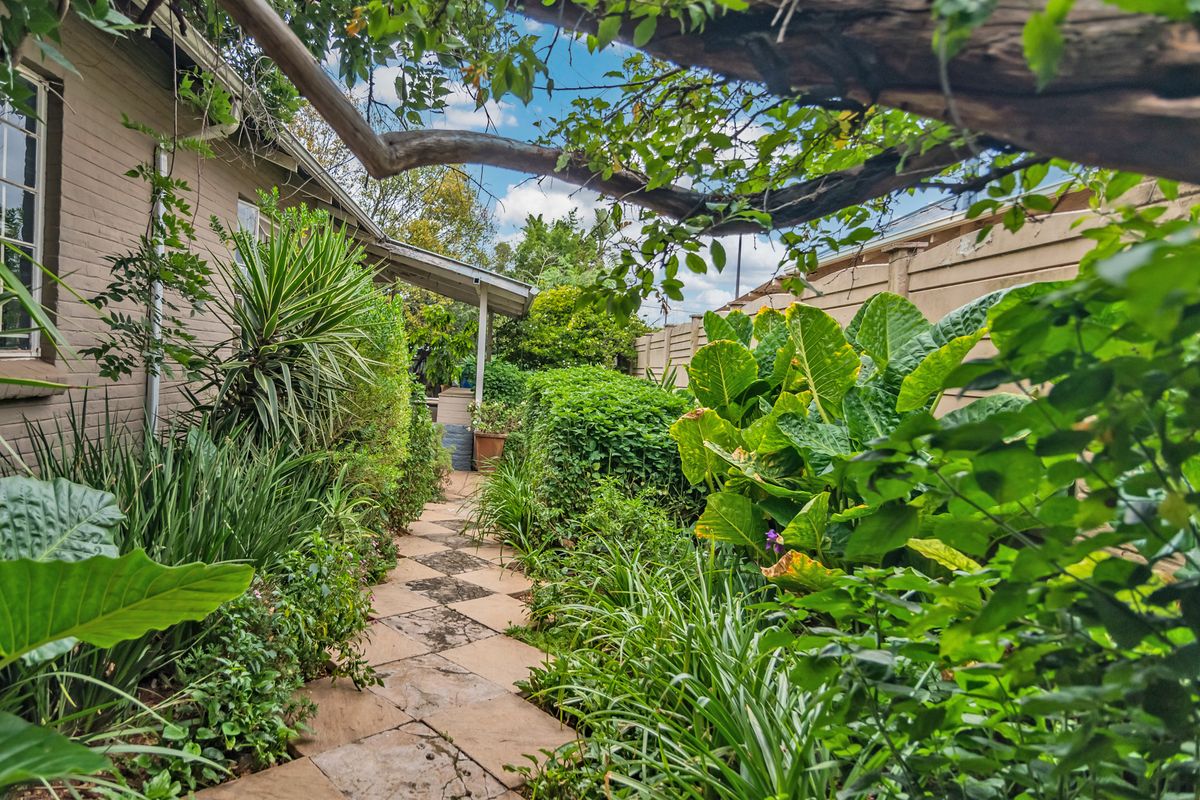 SANCTUARY IN THE CITY - Photo 4