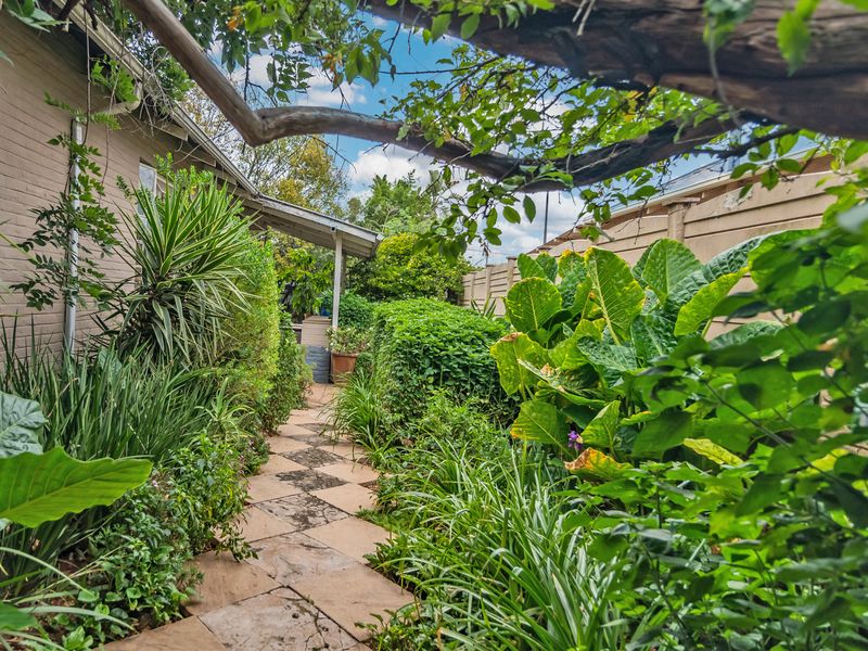 SANCTUARY IN THE CITY - Photo 4