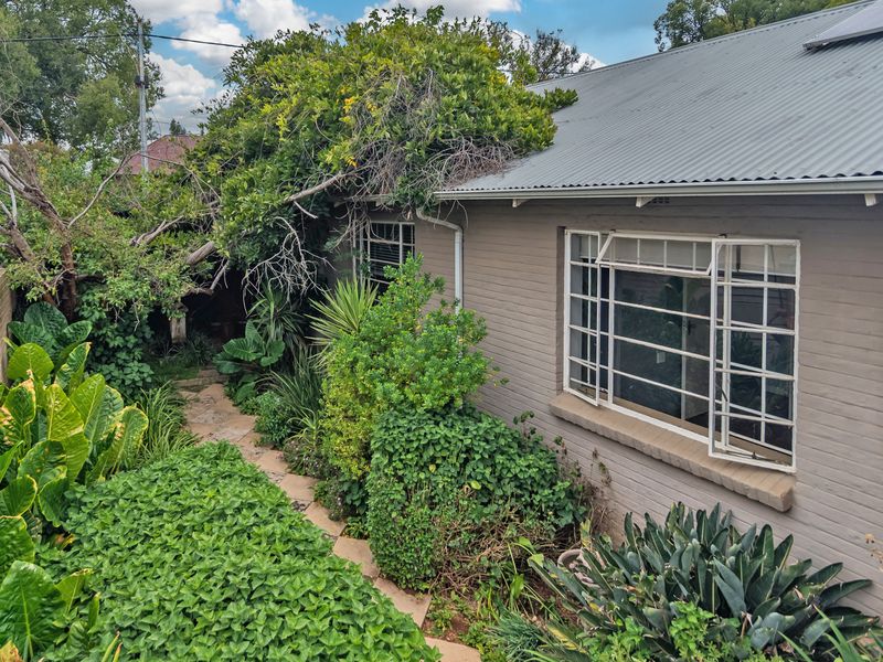 SANCTUARY IN THE CITY - Photo 3