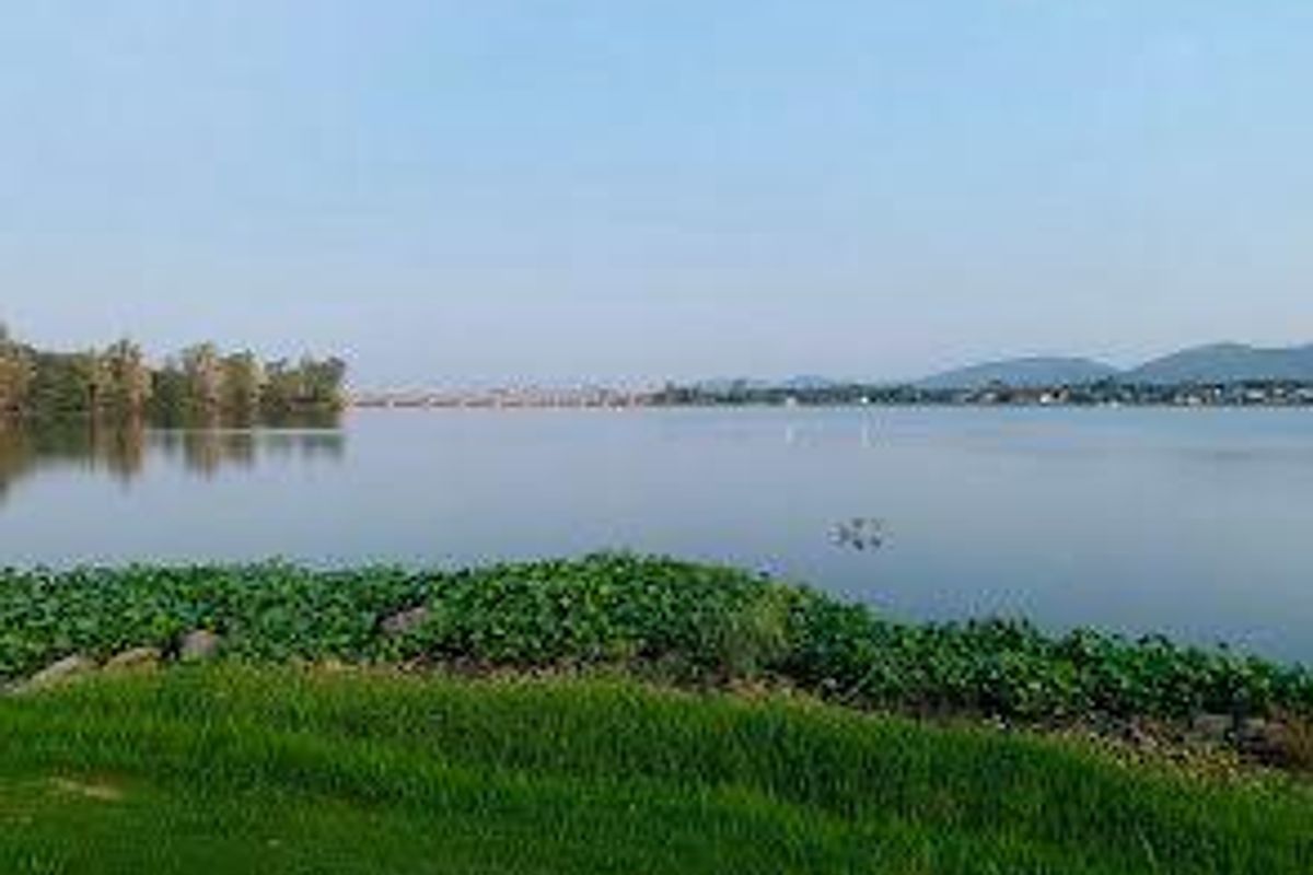 Prime 1022m2 Vacant Stand in Leloko Lifestyle & Eco Estate - Photo 4