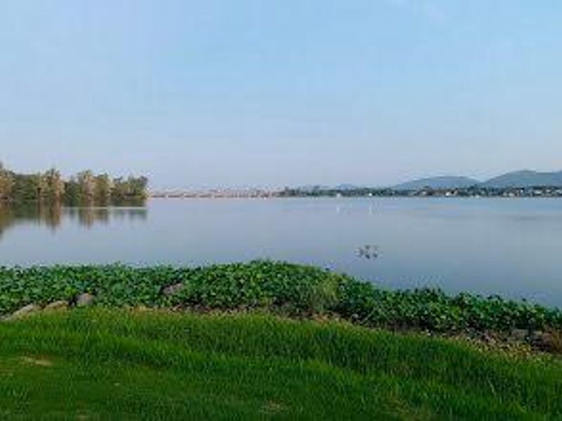 Prime 1022m2 Vacant Stand in Leloko Lifestyle & Eco Estate - Photo 4